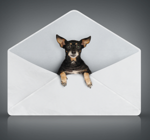 Deliverability-Reminders-Subject-Line-Tips