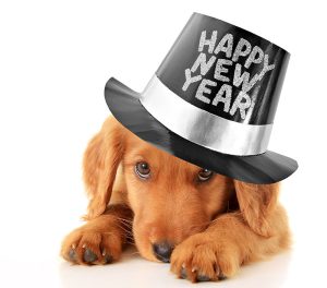 happy-new-year