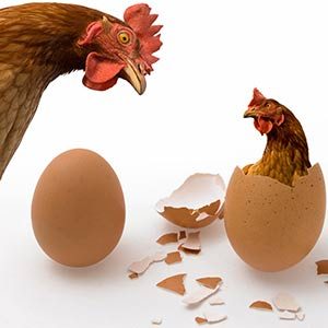 single-optin-vs-double-optin-