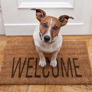 welcome-email-campaign
